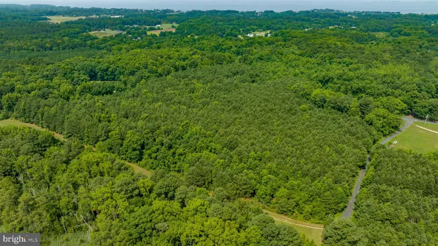 a view of a lush green field