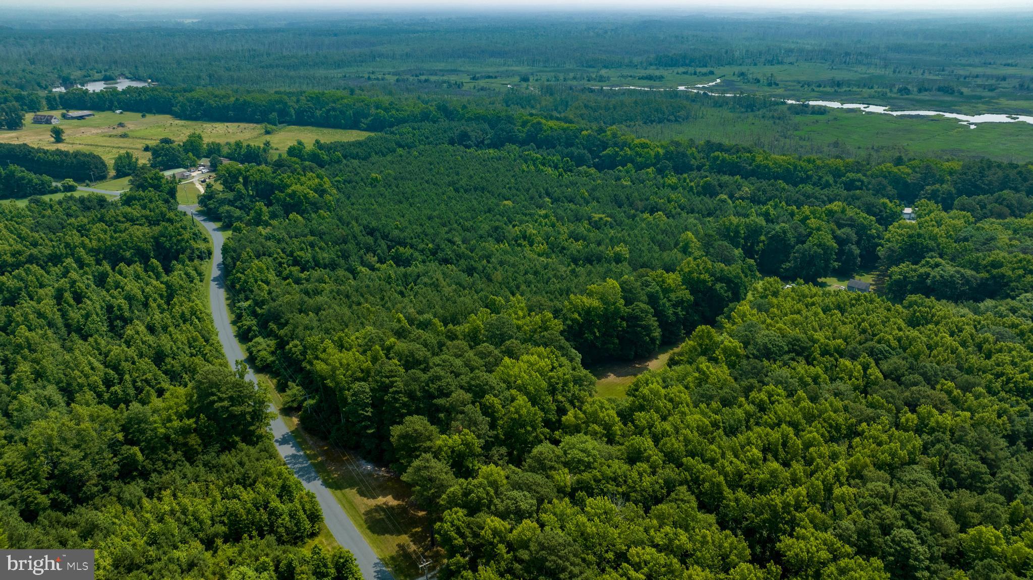 0 Jesterville Road Bivalve, MD 21814 - Photo 10 of 25 an aerial view of residential houses with outdoor space and trees