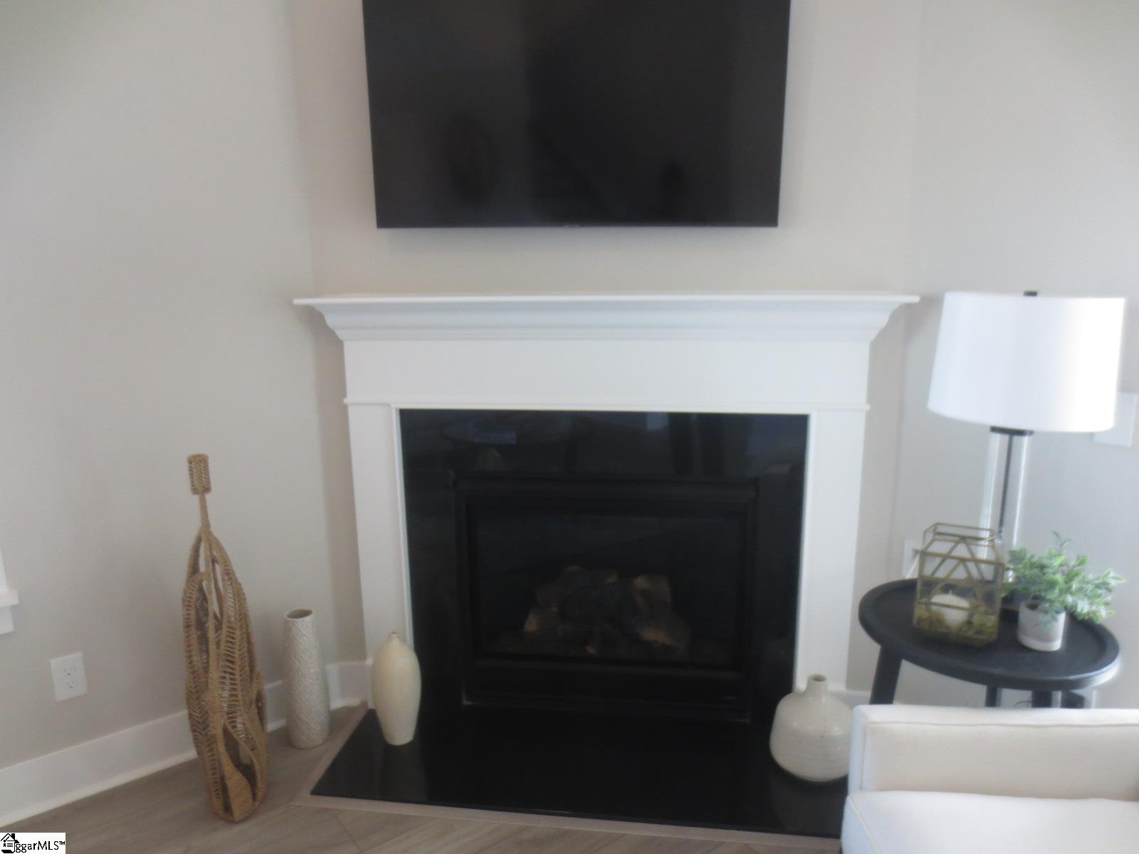 303 Nettle Lane Greenville, SC 29607 - Photo 10 of 24