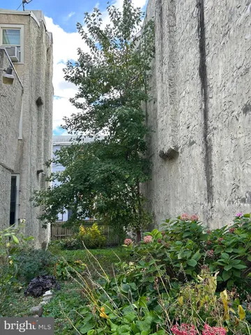 a view of a yard with plants