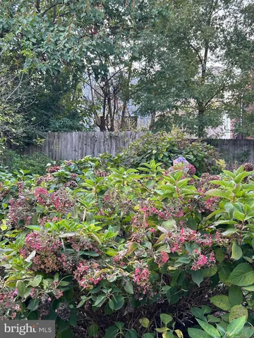 a bunch of flowers are in a garden