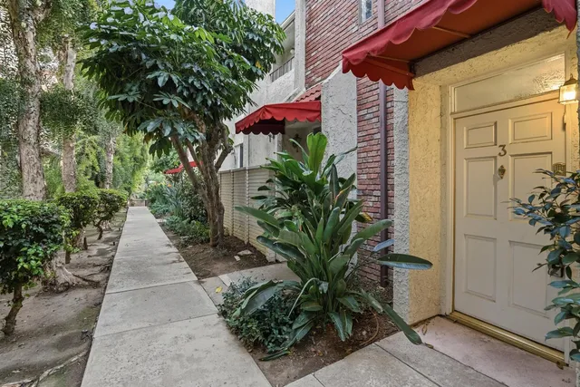 a potted plant sitting in front of a house