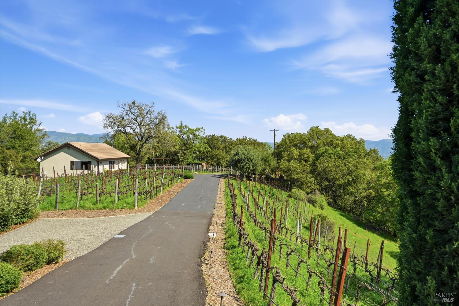 3277 Dry Creek Road Napa, CA 94558 - Photo 63 of 72