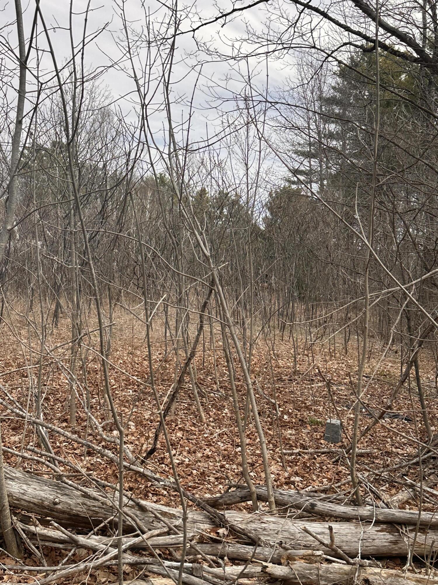 59 Gardiner Road Dresden, ME 04342 - Photo 2 of 16 IMG_8504