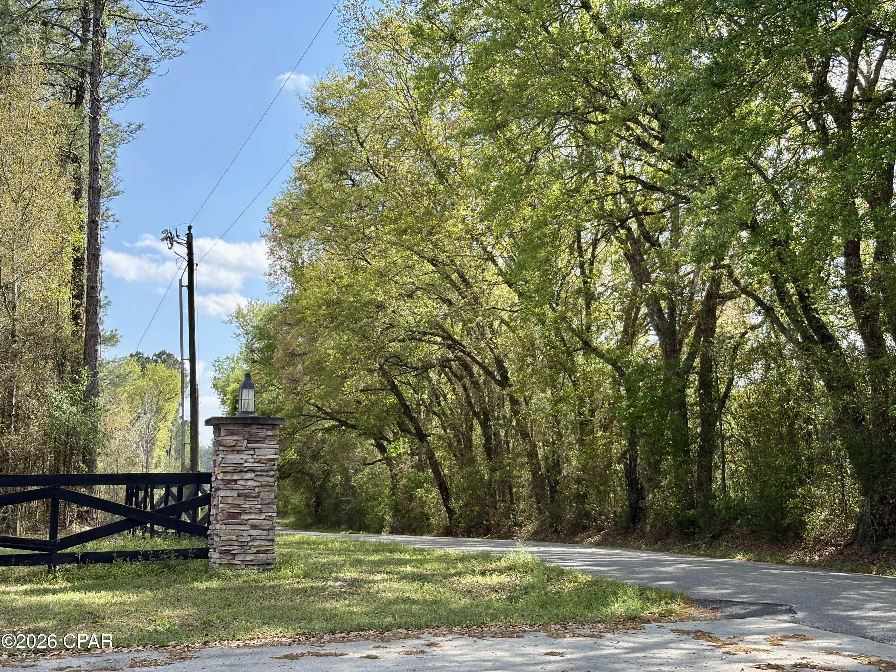 Lot 11 Cypress Crossing Road Vernon, FL 32462 - Photo 3 of 9