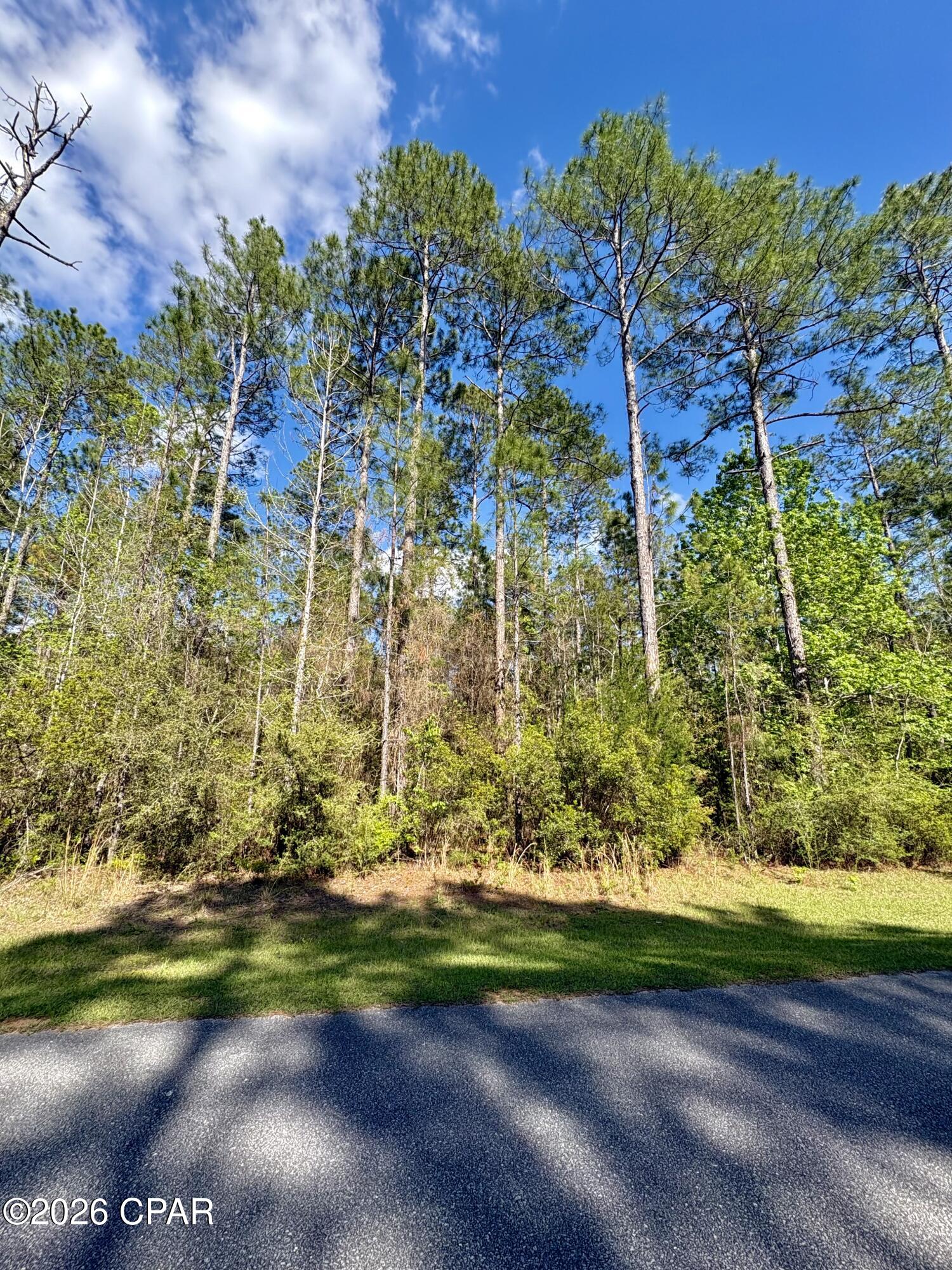 Lot 11 Cypress Crossing Road Vernon, FL 32462 - Photo 4 of 9