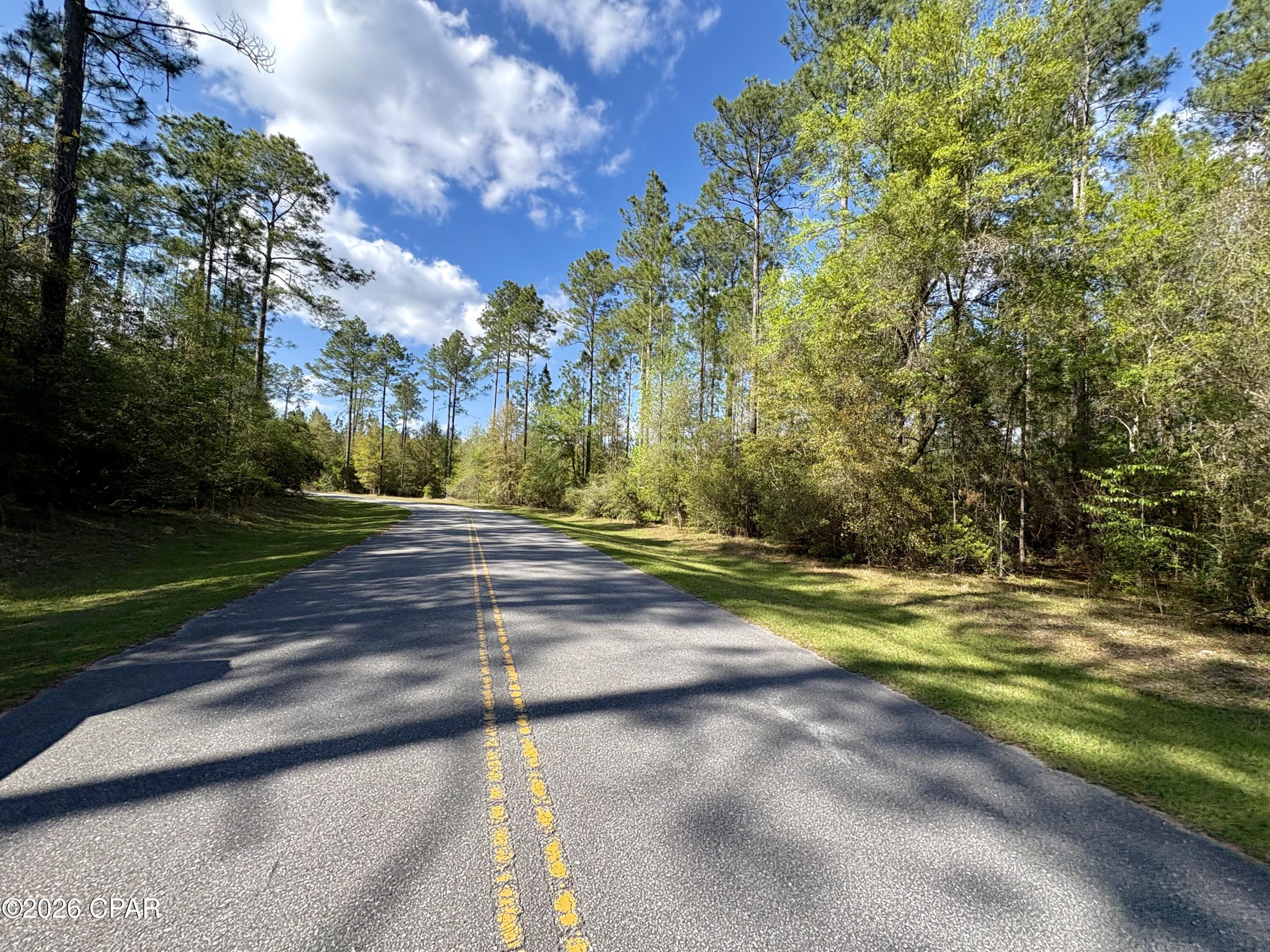 Lot 11 Cypress Crossing Road Vernon, FL 32462 - Photo 6 of 9
