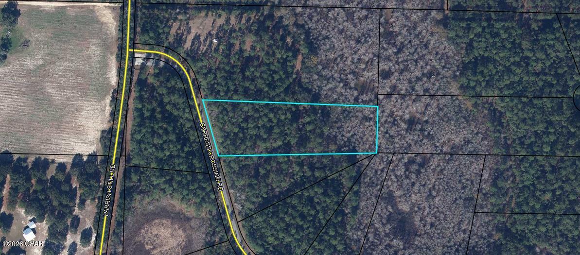 Lot 11 Cypress Crossing Road Vernon, FL 32462 - Photo 8 of 9