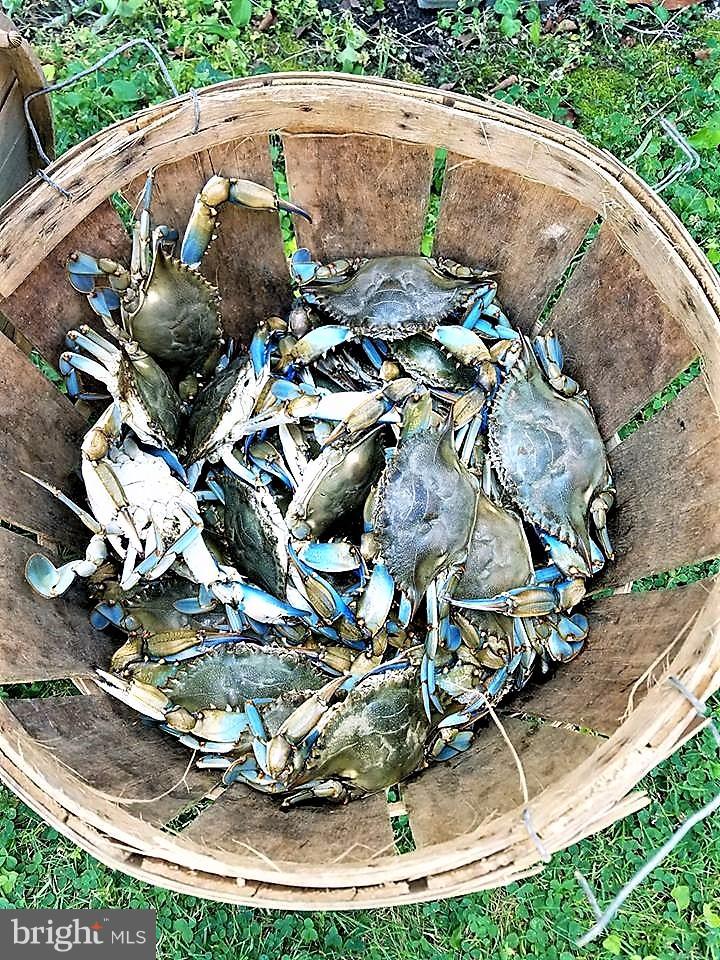 5454 Hallowing Point Road Prince Frederick, MD 20678 - Photo 25 of 26 Crabs on the Patuxent