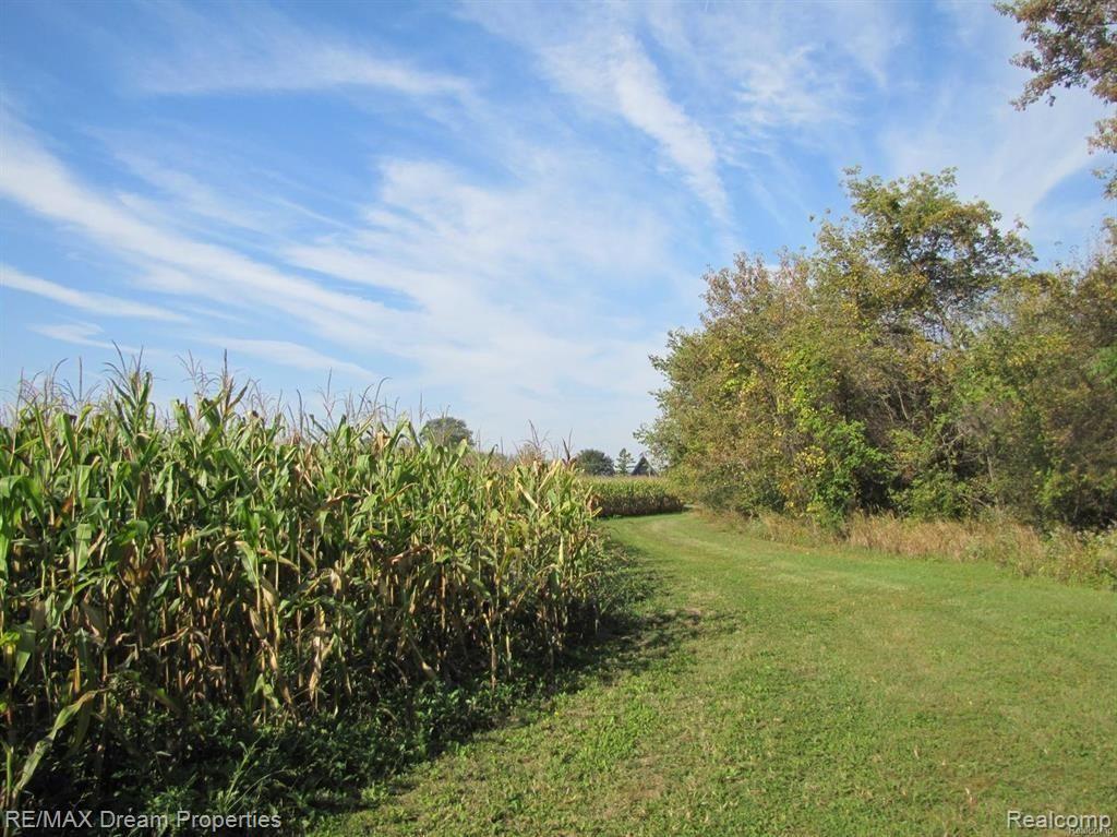 13570 Petersburg Road Milan, MI 48160 - Photo 9 of 38 GetMediaFR5I5F8F.jpg