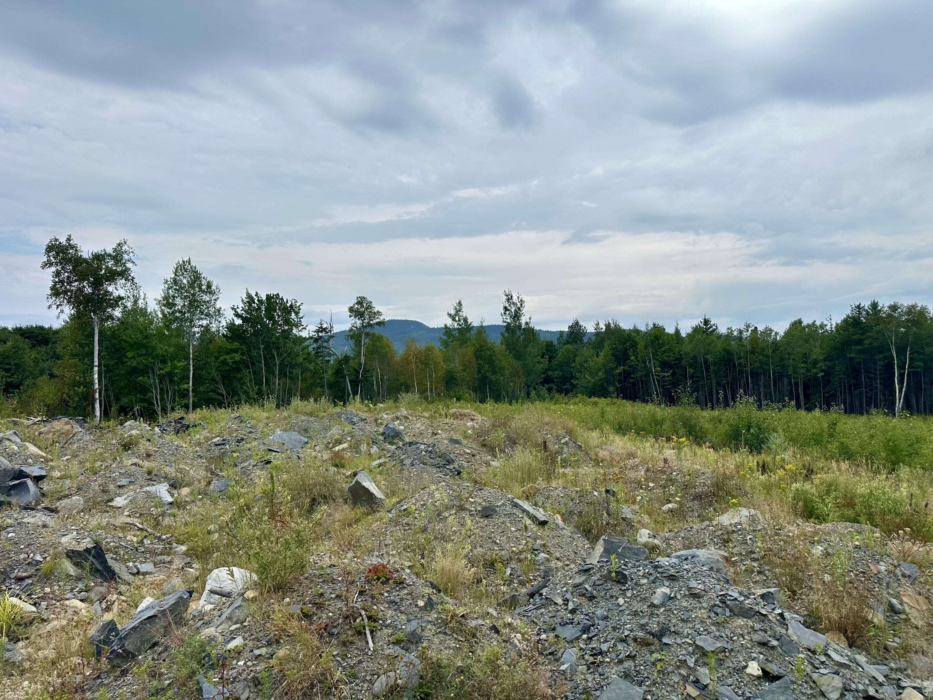 Lot 3-23 Greenville Steam Road Greenville, ME 04441 - Photo 6 of 26 IMG_3709