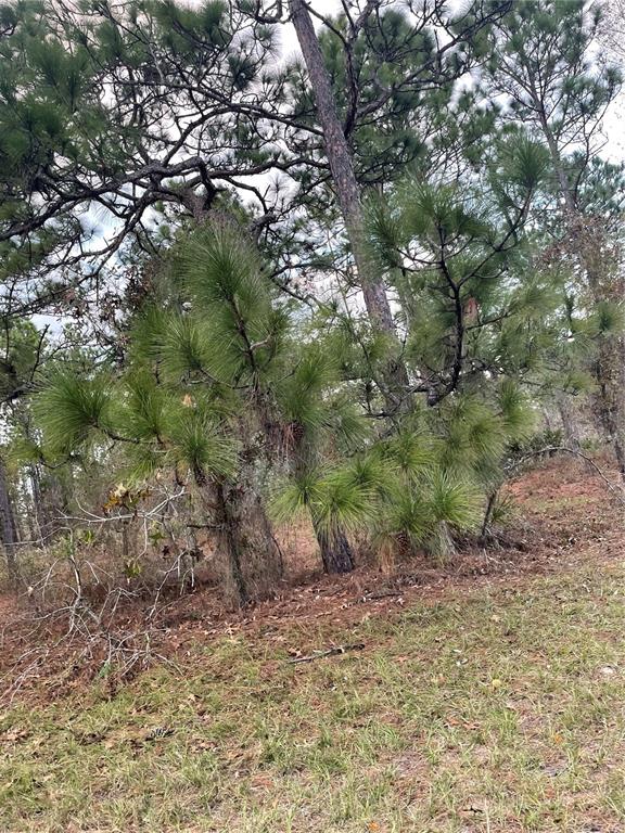 64 64th Terrace Road Ocala, FL 34473 - Photo 1 of 1