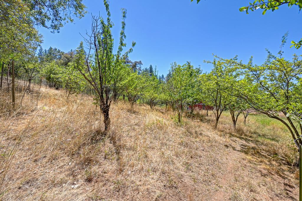 828 West Weimar Cross Road Colfax, CA 95713 - Photo 38 of 56 Gallery Image 38