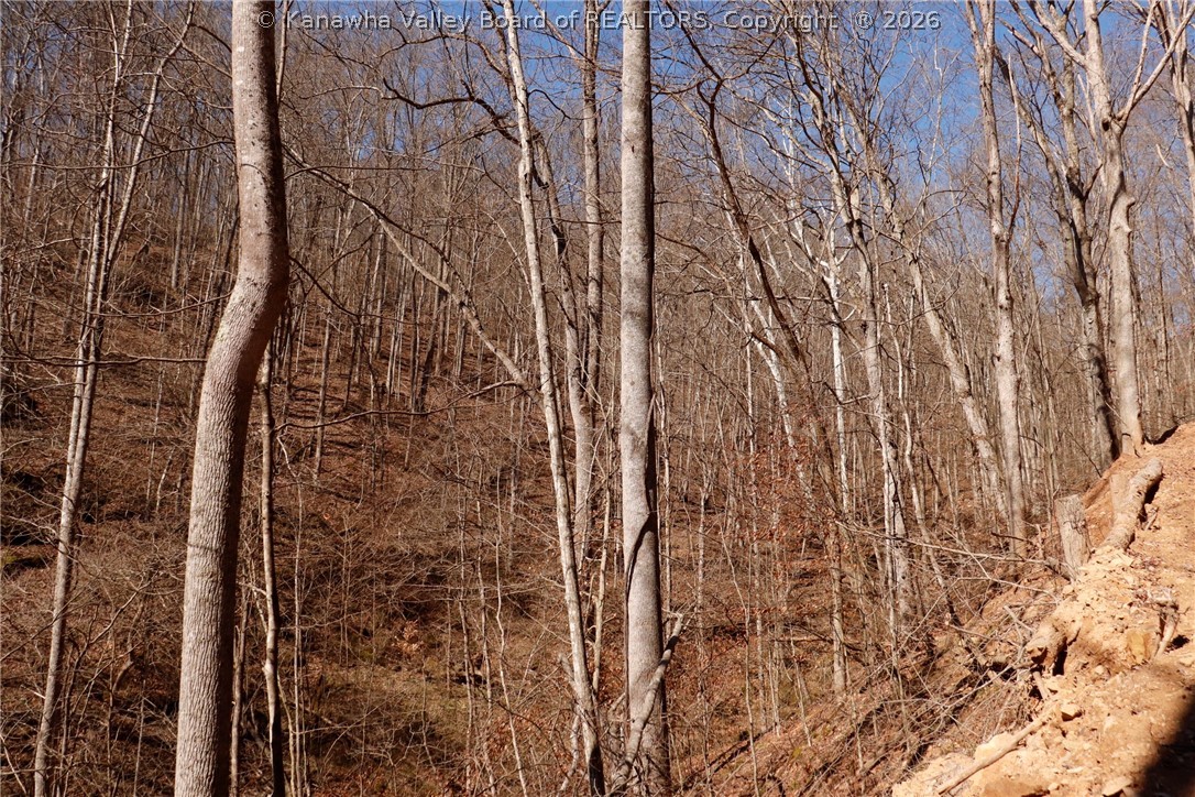 0 Straight Creek Road Walton, WV 25286 - Photo 10 of 47 Gallery Image 10