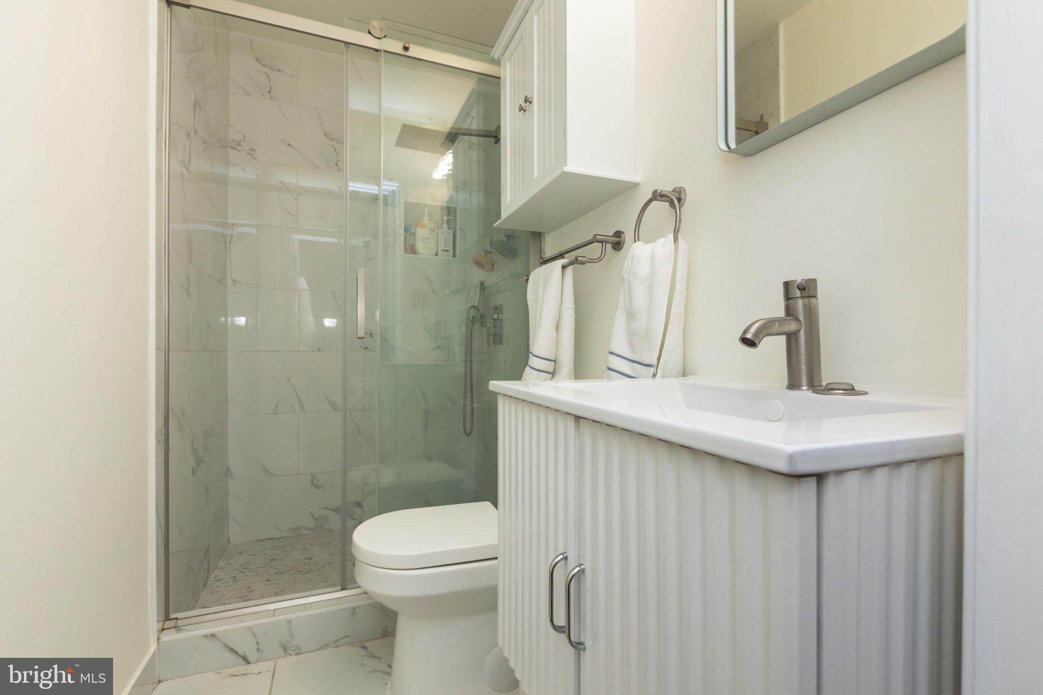 3613 Rusty Rim Ellicott City, MD 21043 - Photo 22 of 39 Sleek modern bathroom oasis.