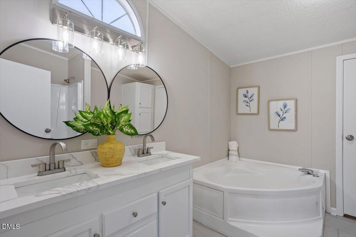371 Woodland Church Road Dudley, NC 28333 - Photo 24 of 30 a bathroom with a sink a potted plant and a mirror