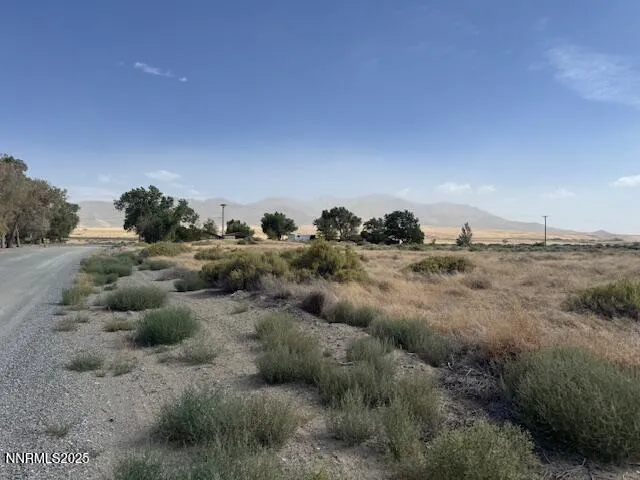 a view of a dry field with trees in background