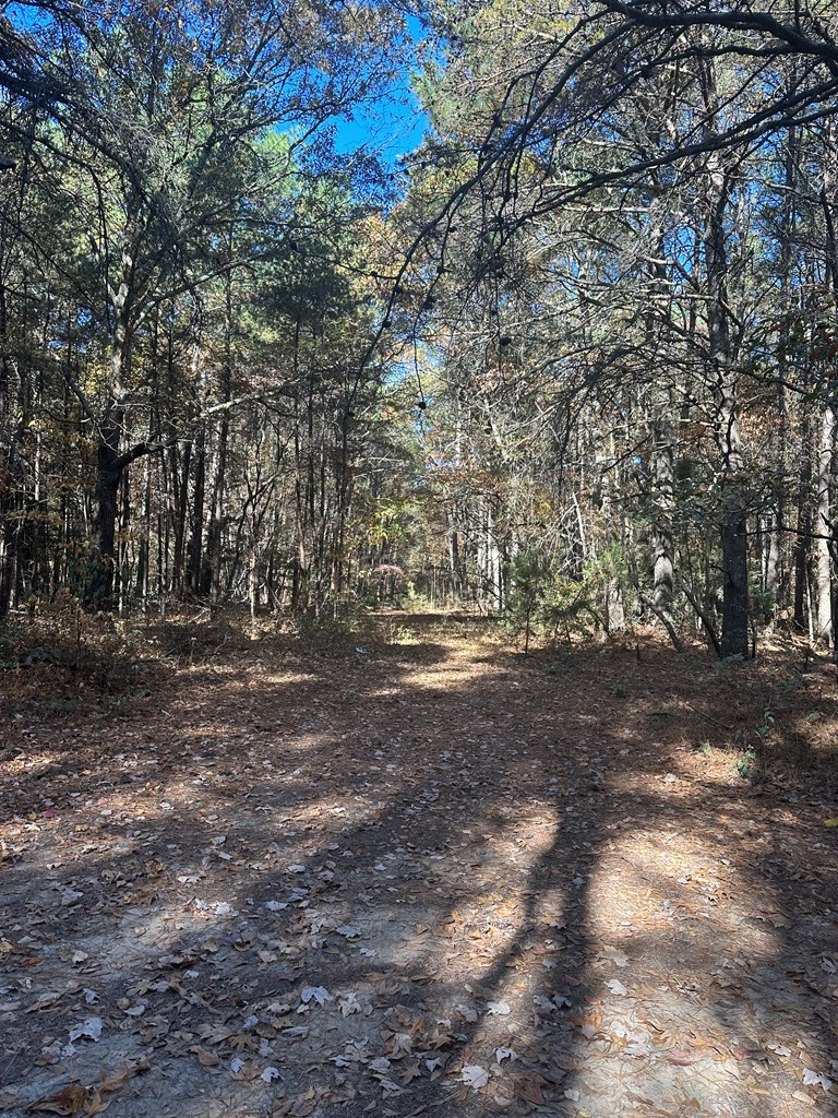 Lot 131 Metompkin Road, Unit 131 Parksley, VA 23421 - Photo 7 of 12