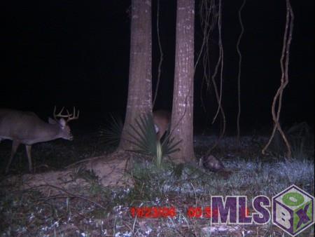 46402 Laurel Ridge Road St. Amant, LA 70774 - Photo 4 of 5 Gallery Image 4