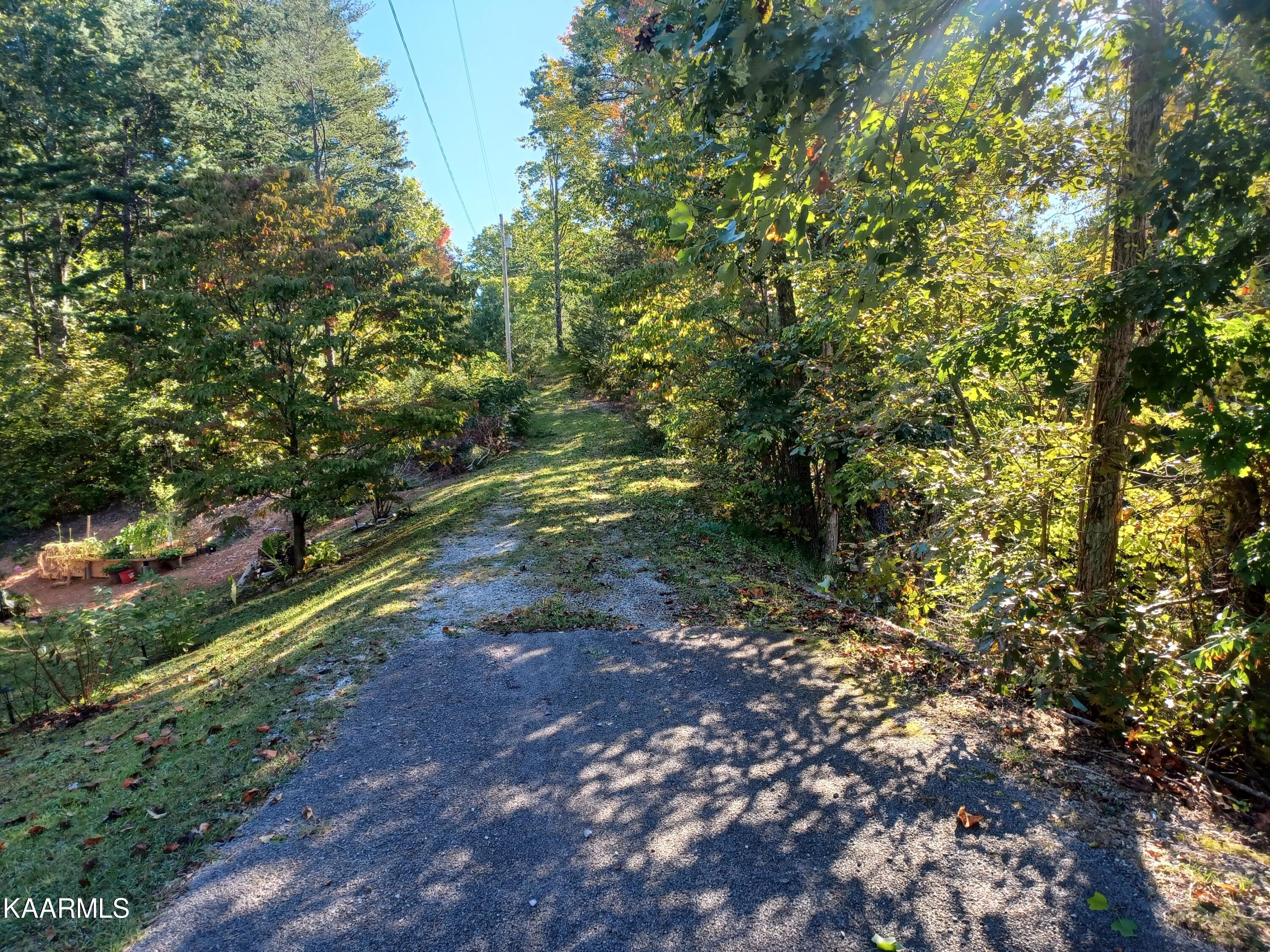 604 Pine Knob Road Pigeon Forge, TN 37863 - Photo 2 of 11 Entry up