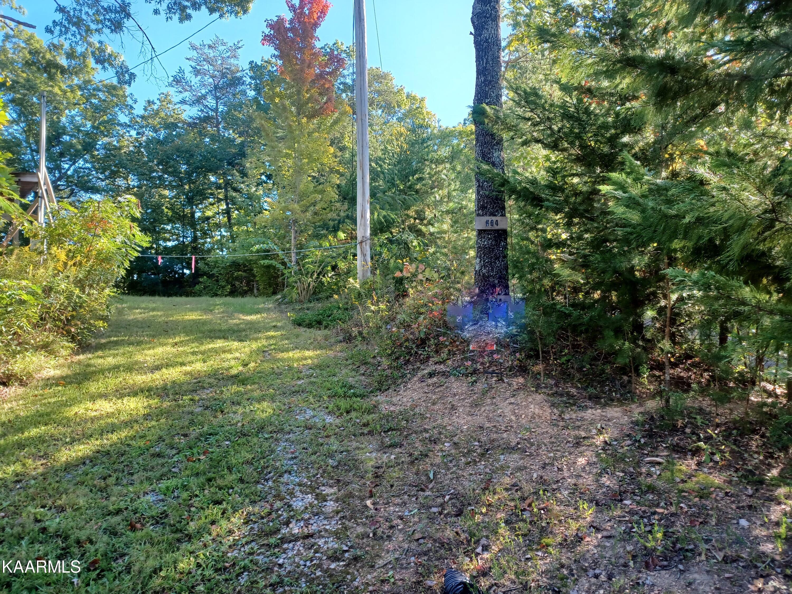 604 Pine Knob Road Pigeon Forge, TN 37863 - Photo 3 of 11 Entry