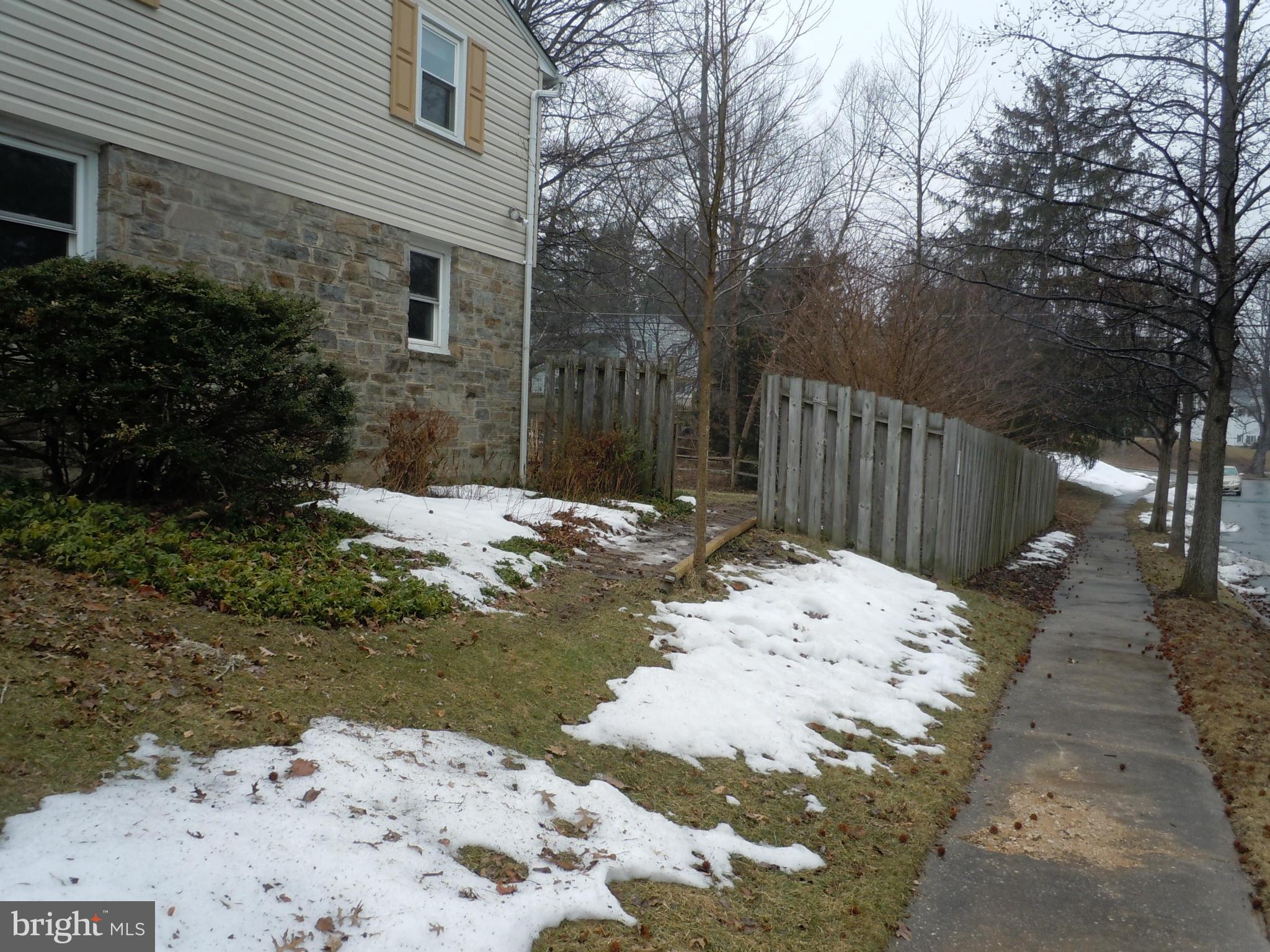 Side View-Walk