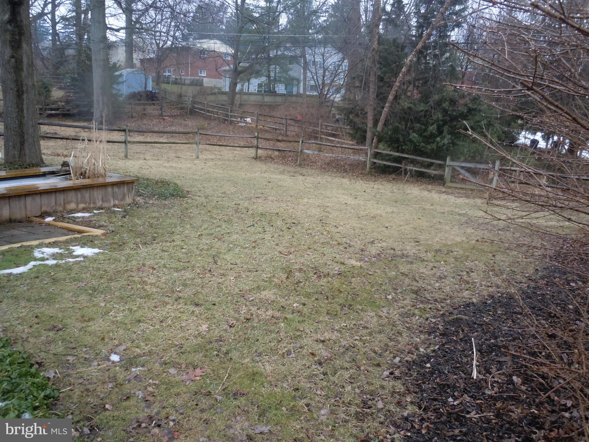 Back Yard