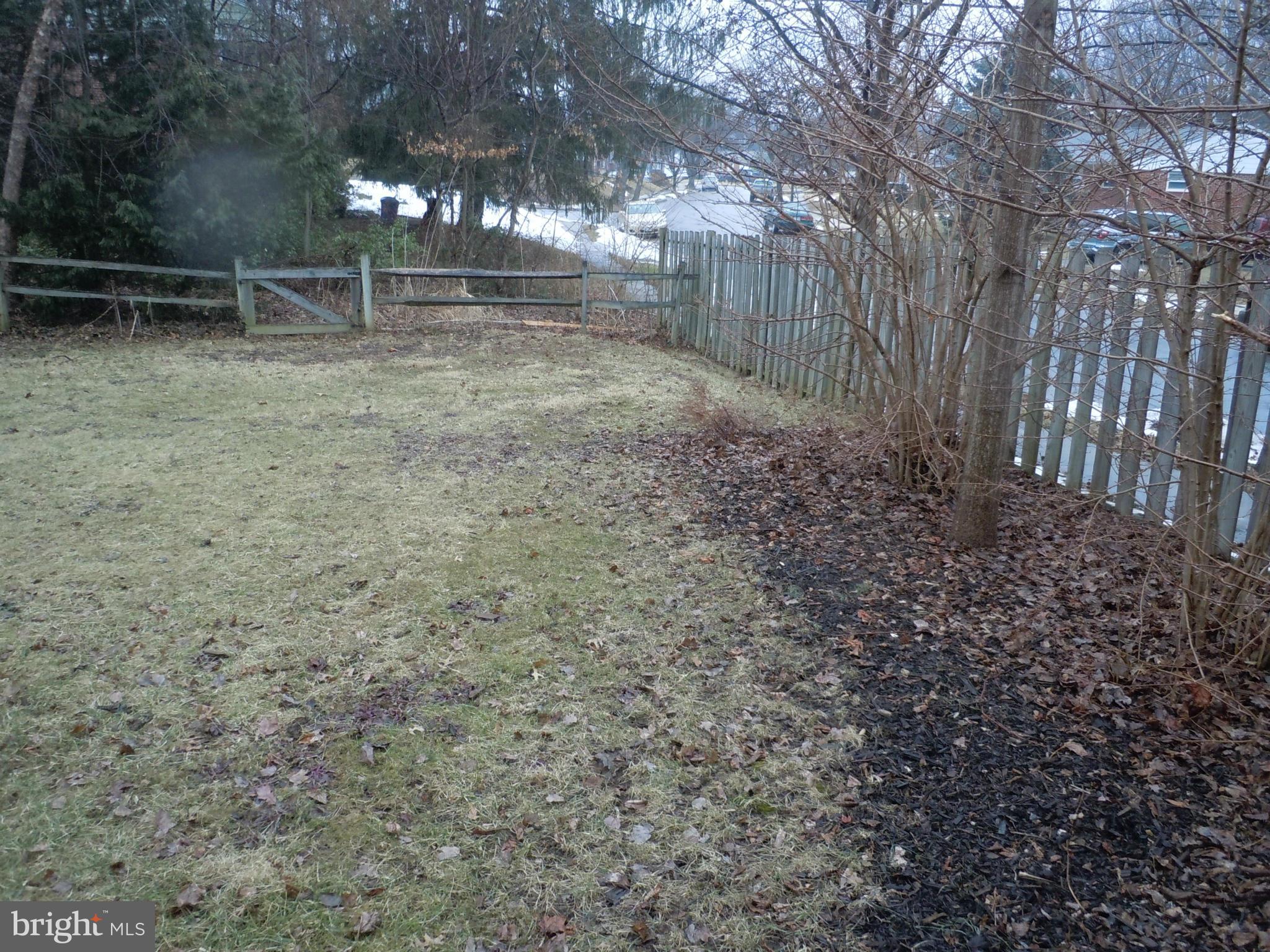 Side Yard
