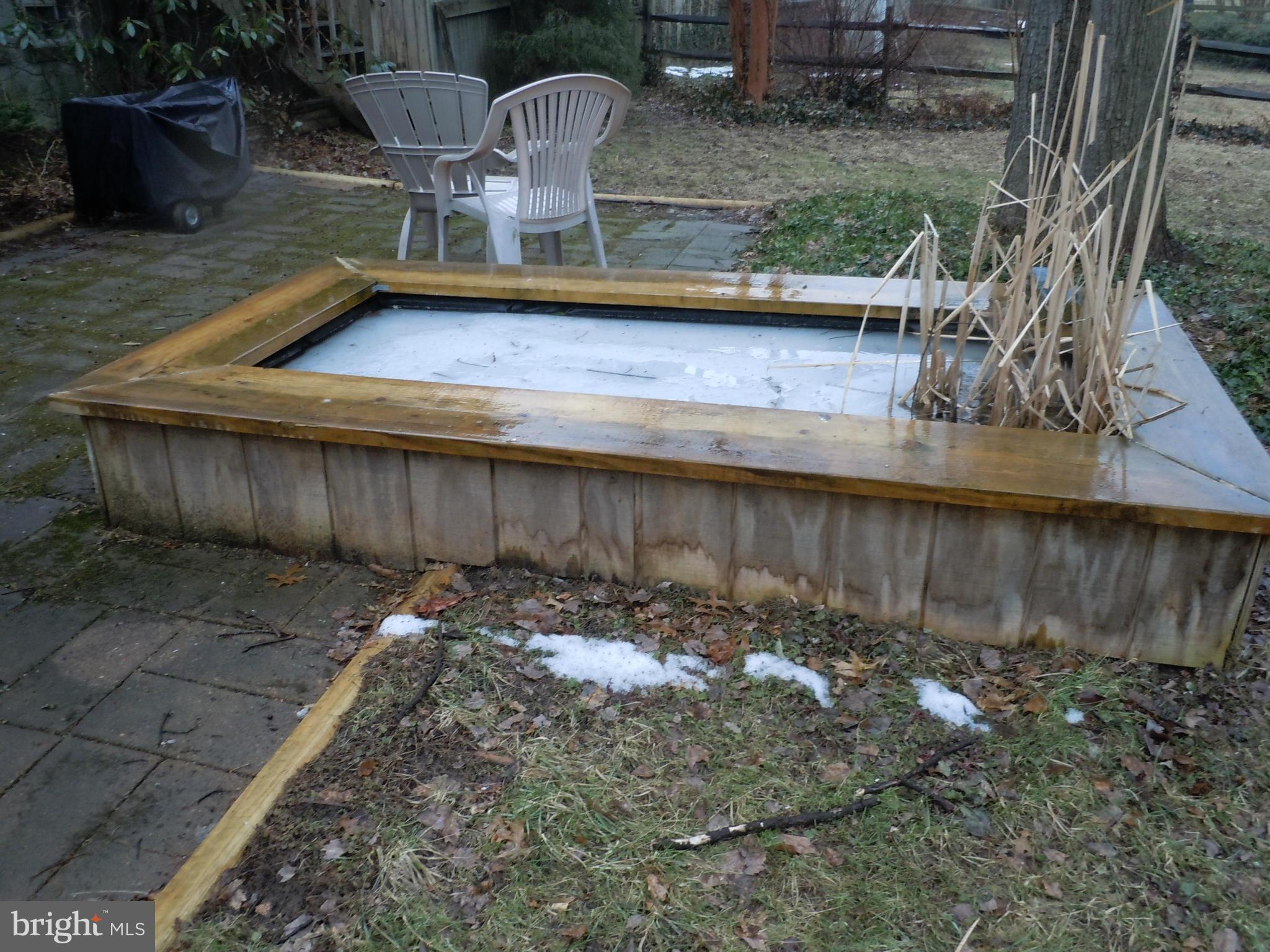 Fish Pond
