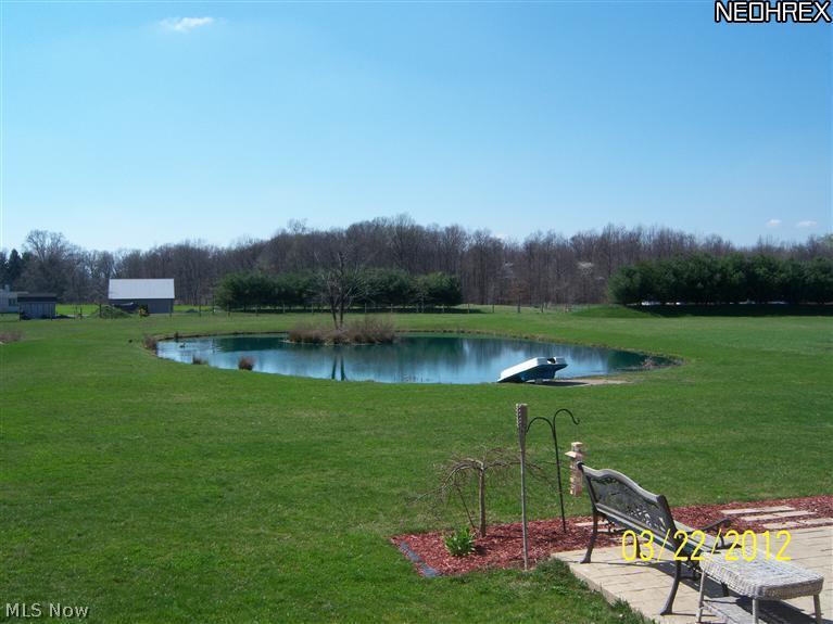 3520 Vandemark Road Litchfield, OH 44253 - Photo 24 of 25 3520 Vandemark, Litchfield, OH View of pond in spring