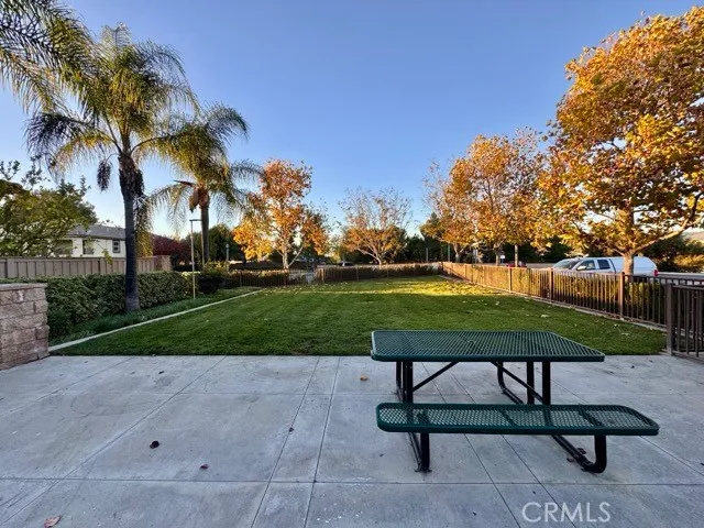 a view of a park with bench and trees