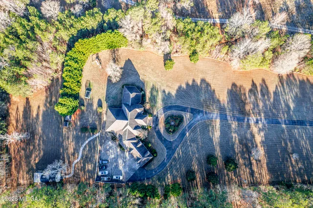a view of a yard with plants and large trees
