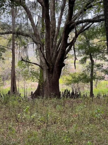 $179,900 | Hiamonee Drive, Tallahassee, FL 32312