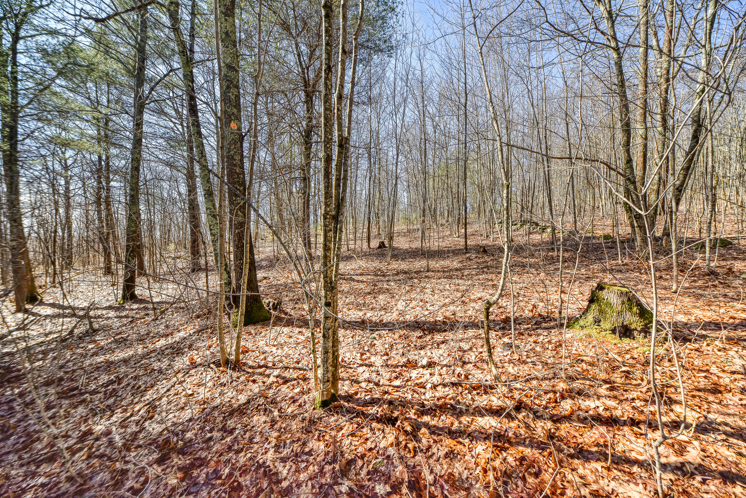 Lot 53-03 Langdon Road Richmond, ME 04357 - Photo 42 of 43 108695gr-127