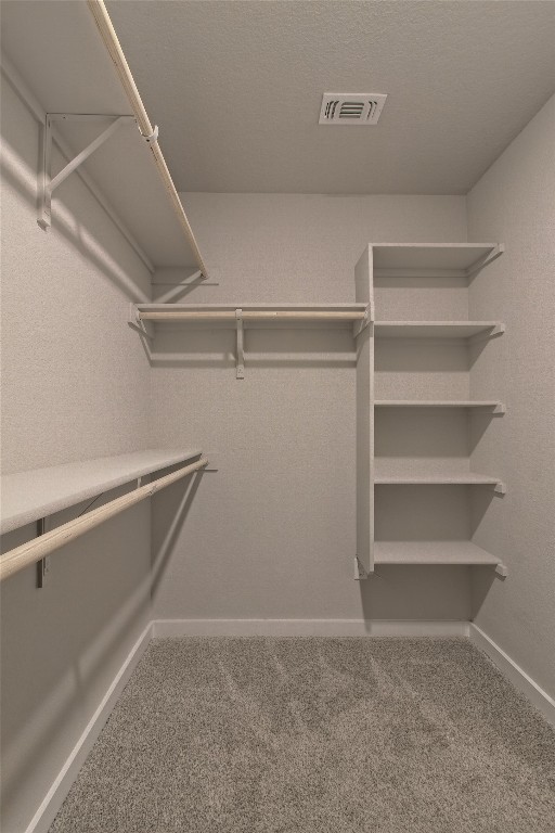 112 Halford Road Georgetown, TX 78633 - Photo 22 of 37 Spacious closet featuring light colored carpet