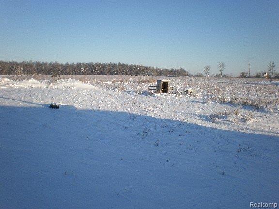 10164 Norman Road Avoca, MI 48006 - Photo 3 of 3 PC160104-mfscnv-mfsopt