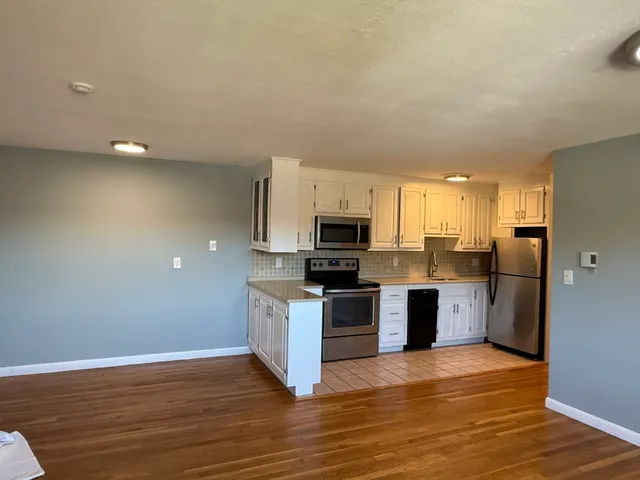 a kitchen with a sink wooden floor and stainless steel appliances