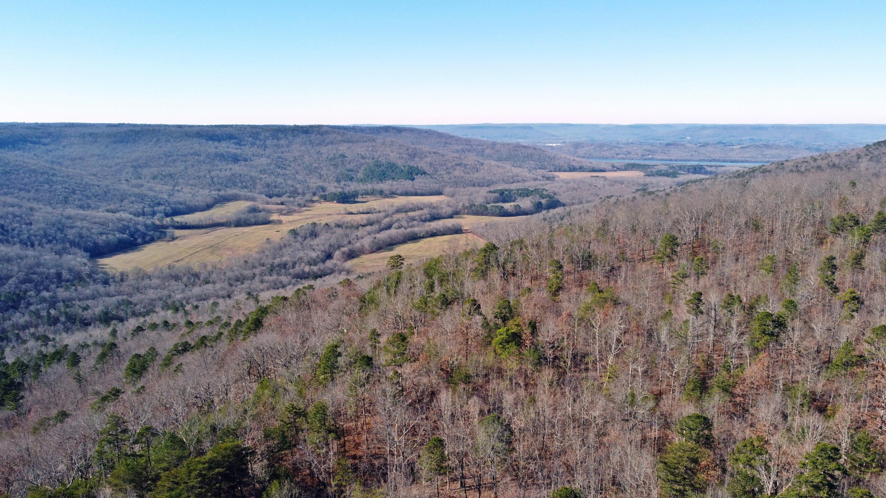 0 Co Road Bryant, AL 35958 - Photo 1 of 30 DJI_0910