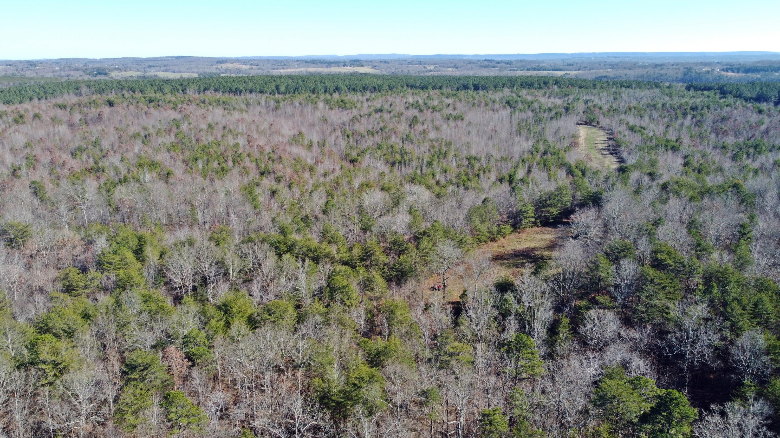 0 Co Road Bryant, AL 35958 - Photo 11 of 30 DJI_0912