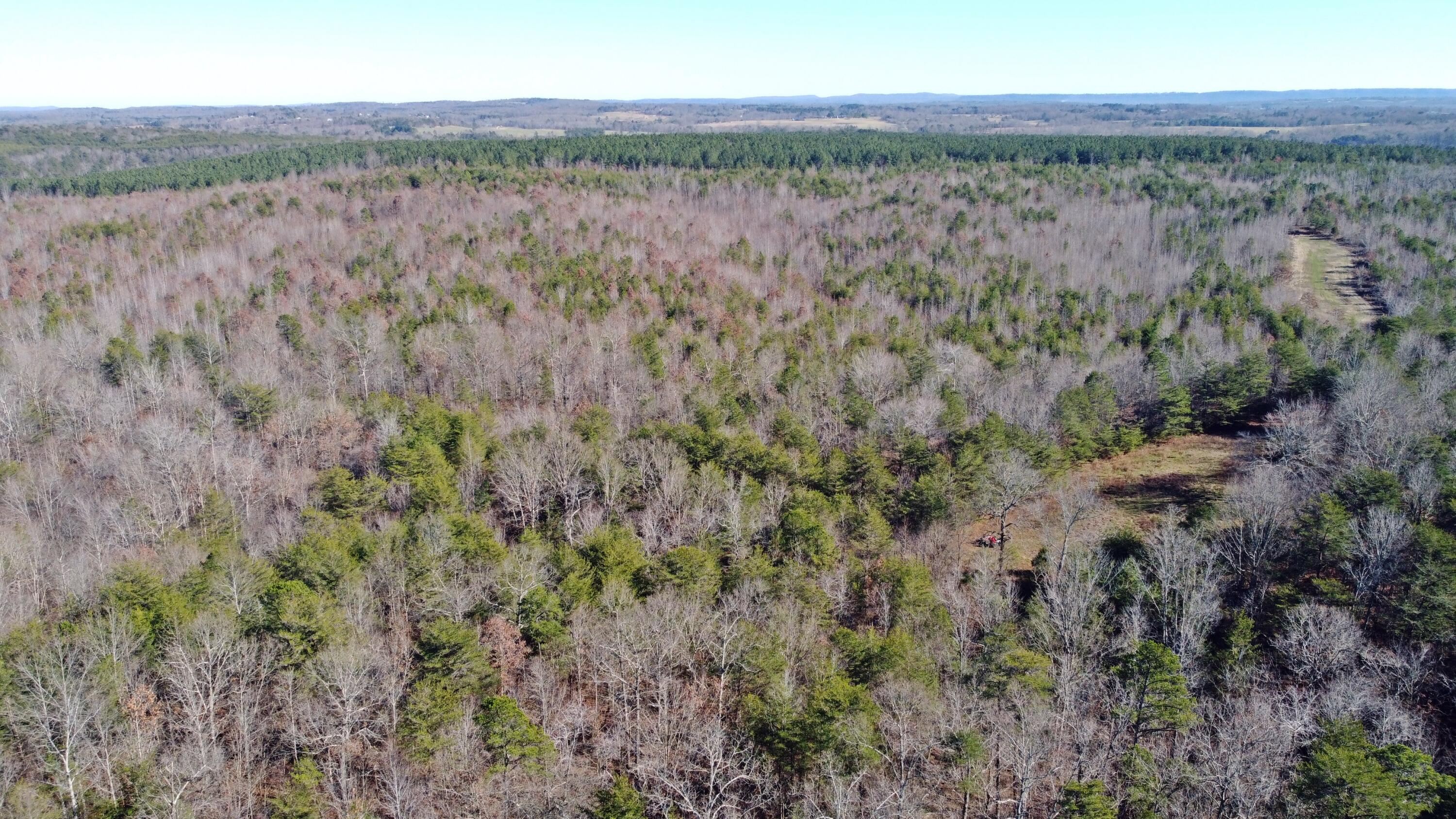 0 Co Road Bryant, AL 35958 - Photo 12 of 30 DJI_0913