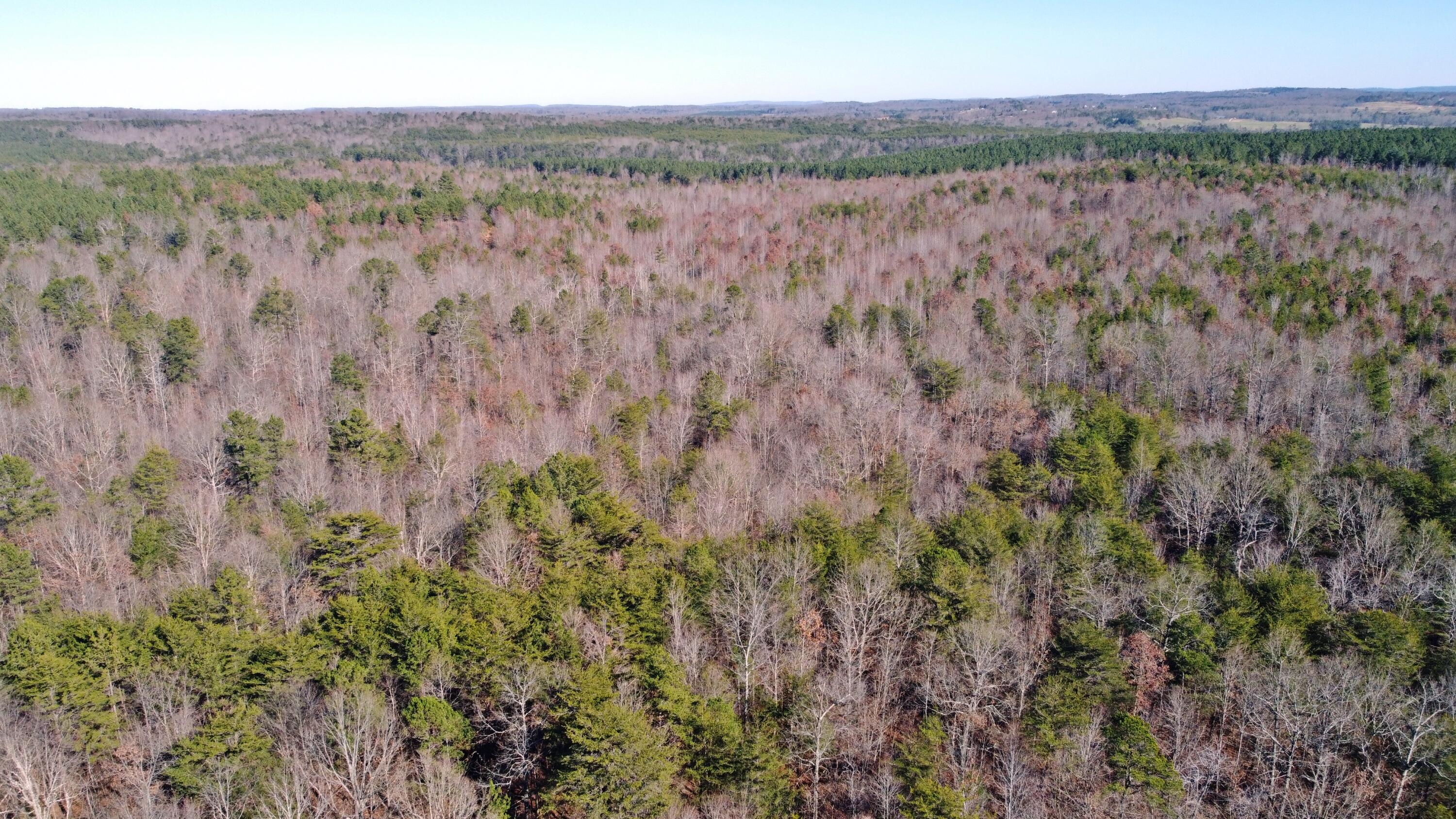 0 Co Road Bryant, AL 35958 - Photo 13 of 30 DJI_0914