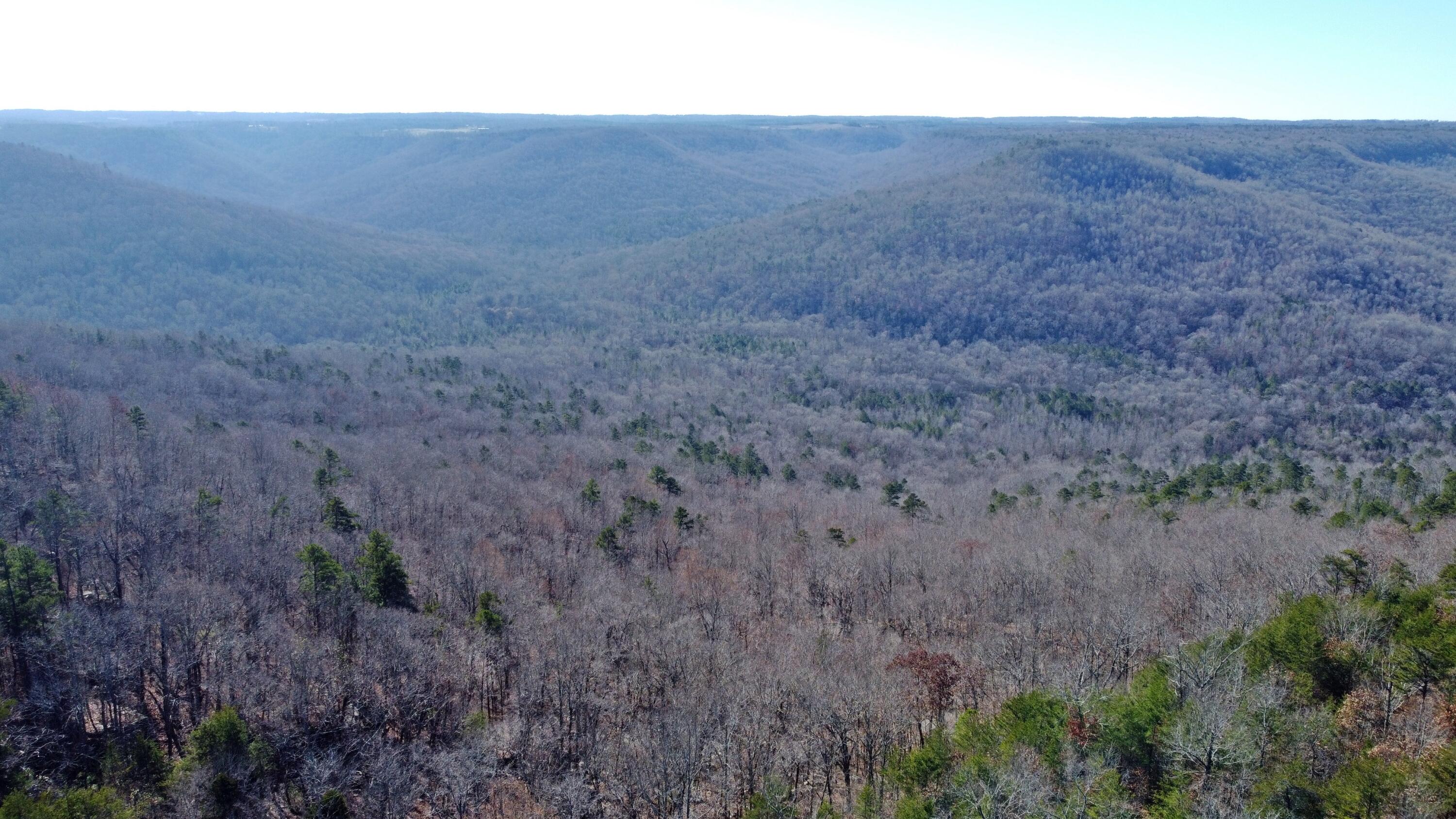 0 Co Road Bryant, AL 35958 - Photo 14 of 30 DJI_0915