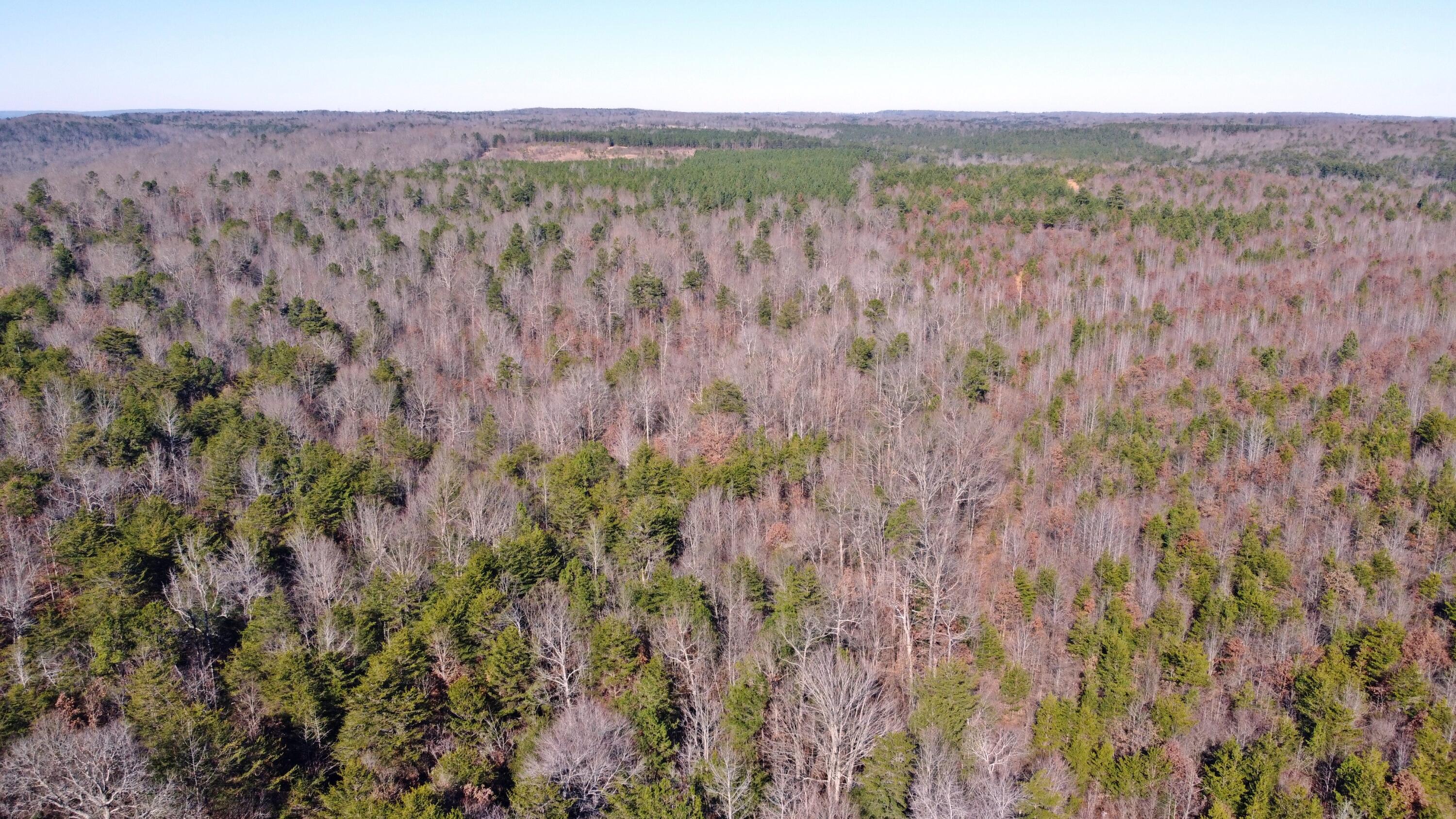 0 Co Road Bryant, AL 35958 - Photo 15 of 30 DJI_0916