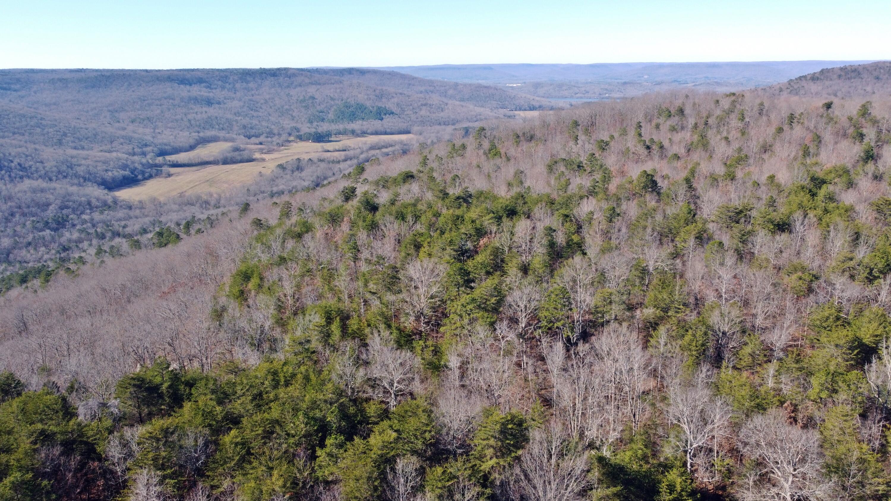 0 Co Road Bryant, AL 35958 - Photo 17 of 30 DJI_0918