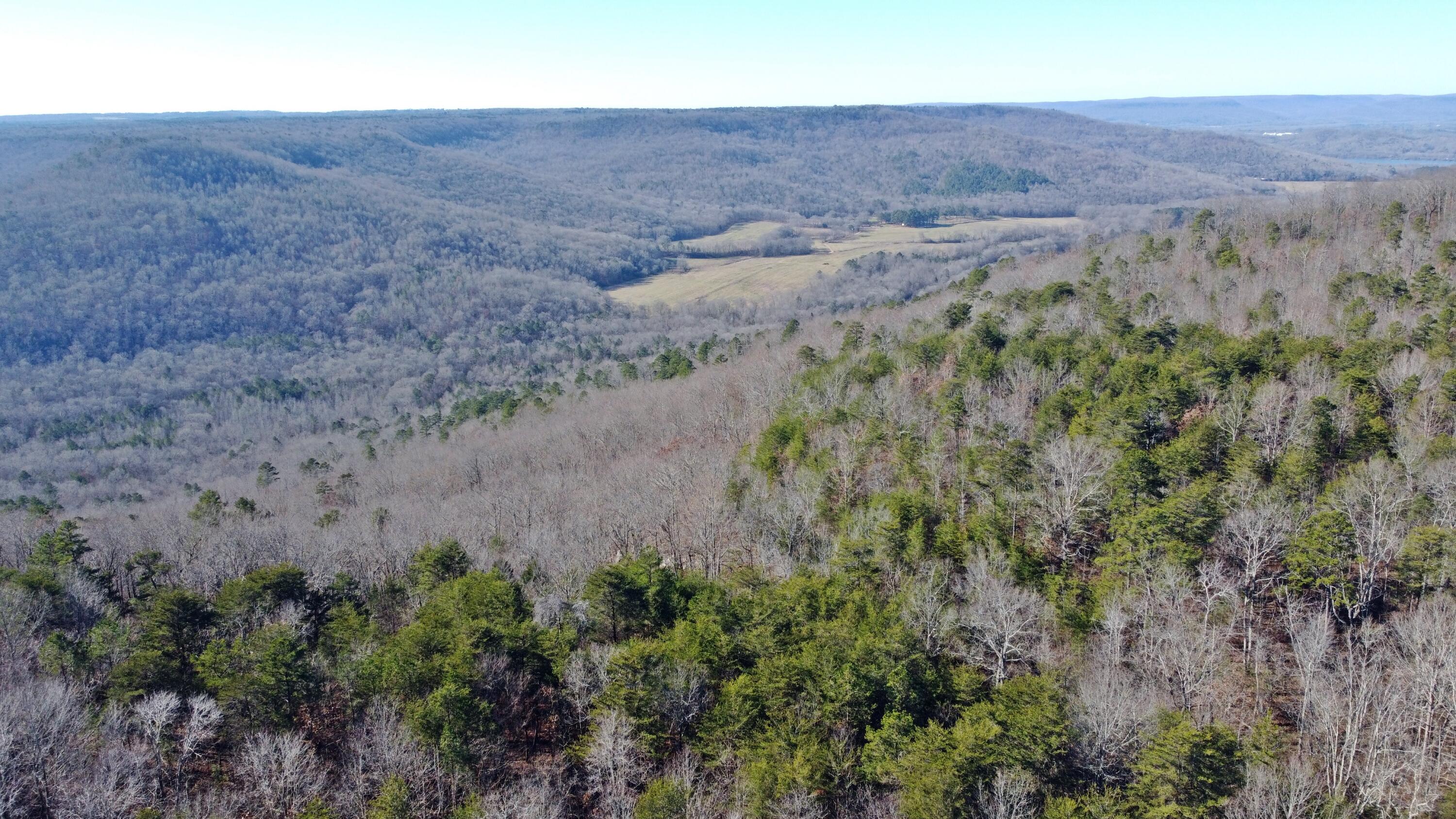 0 Co Road Bryant, AL 35958 - Photo 18 of 30 DJI_0919