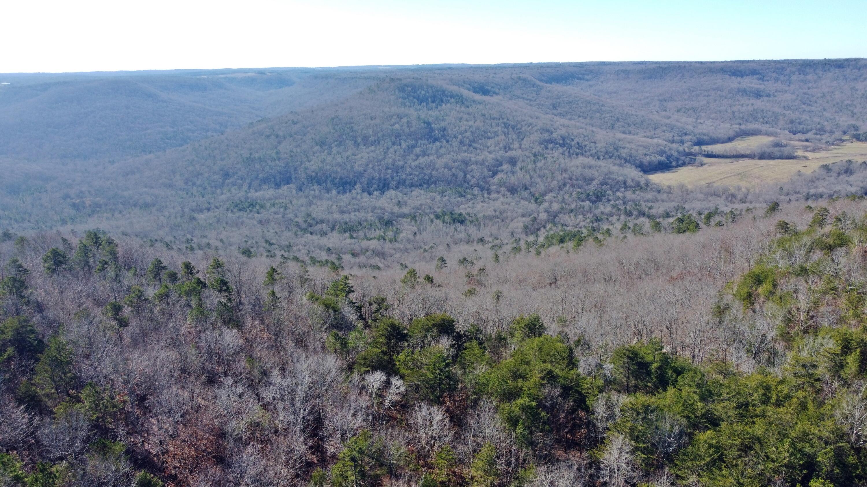 0 Co Road Bryant, AL 35958 - Photo 19 of 30 DJI_0920