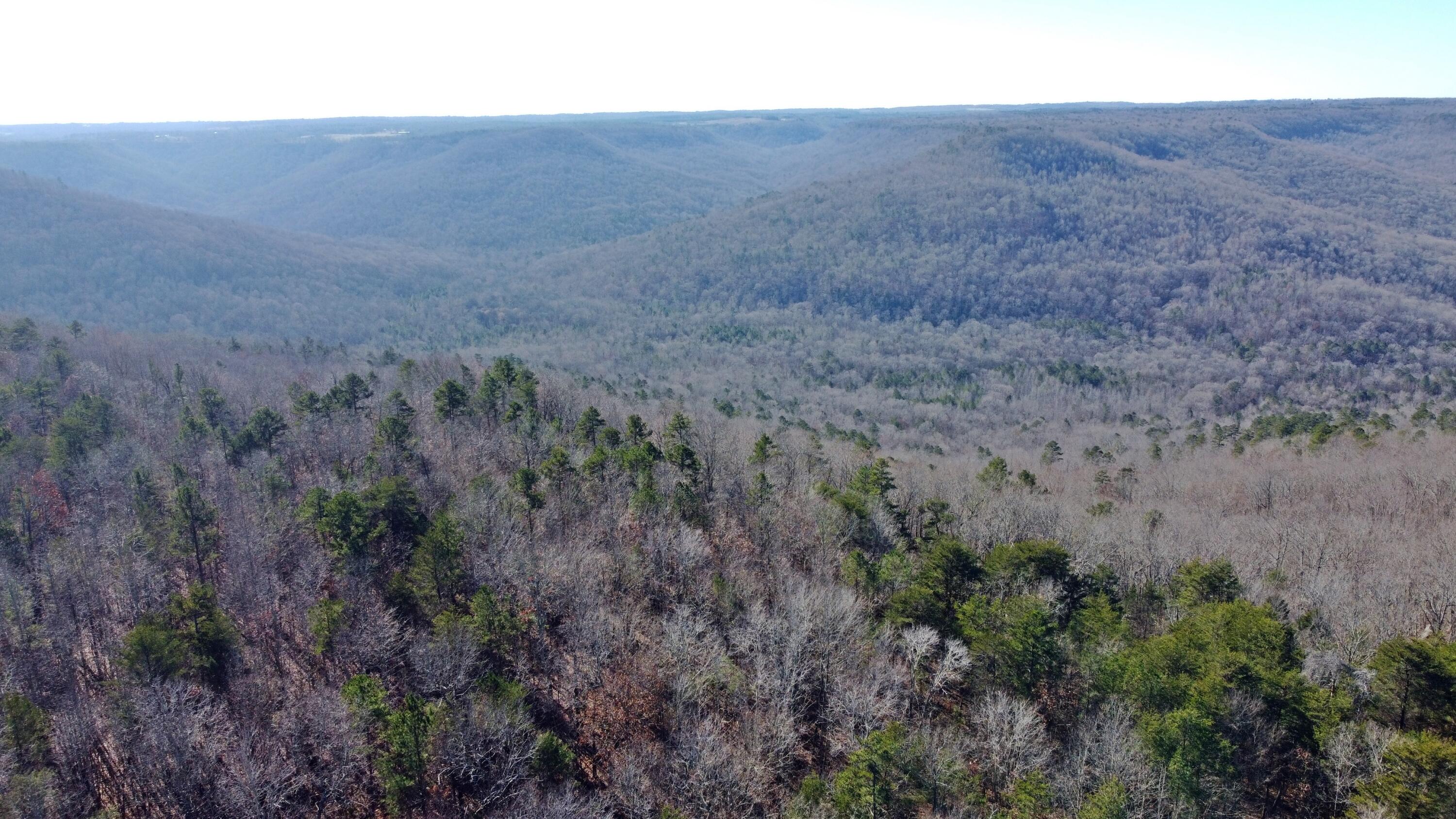 0 Co Road Bryant, AL 35958 - Photo 20 of 30 DJI_0921