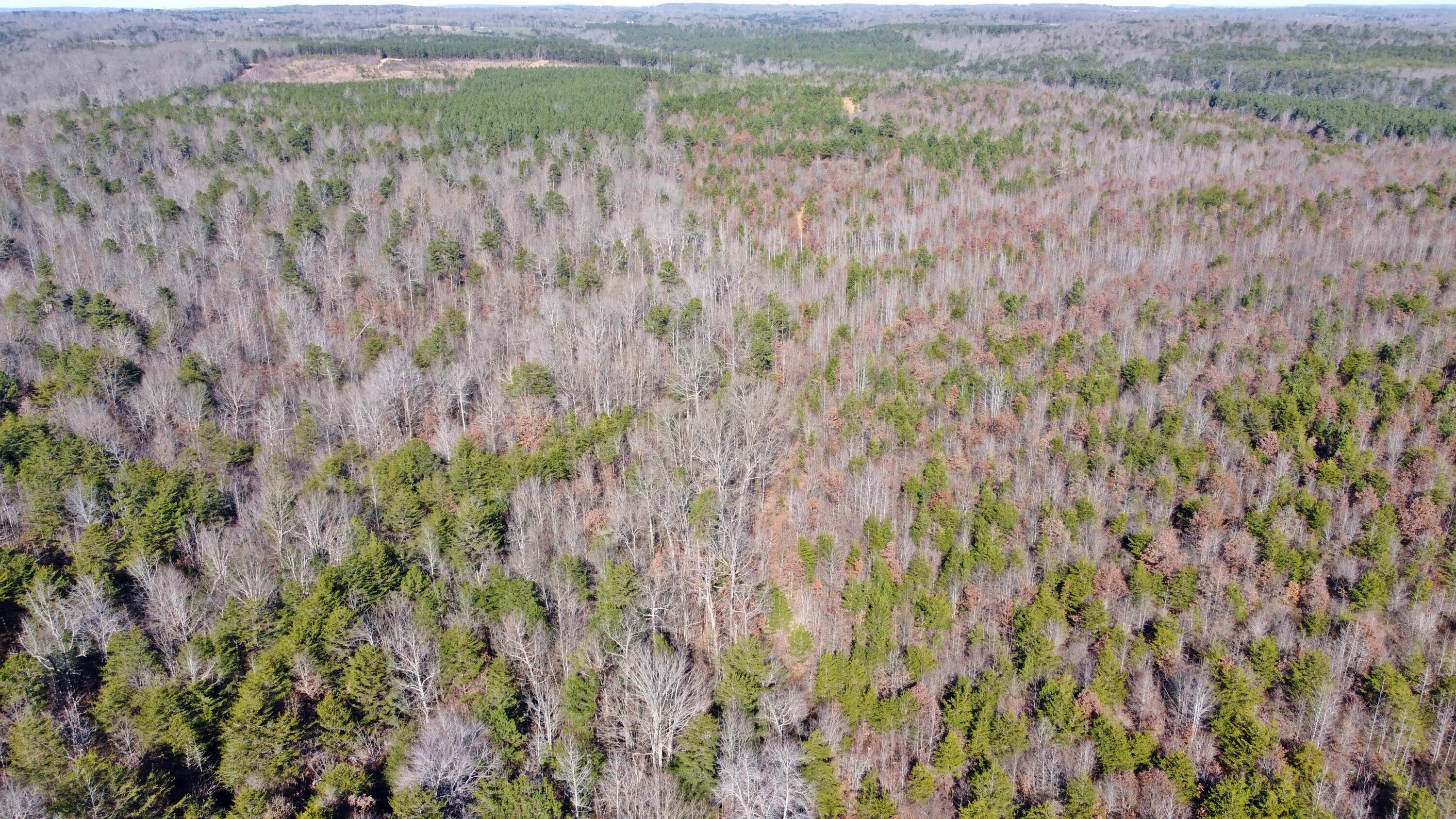 0 Co Road Bryant, AL 35958 - Photo 21 of 30 DJI_0922