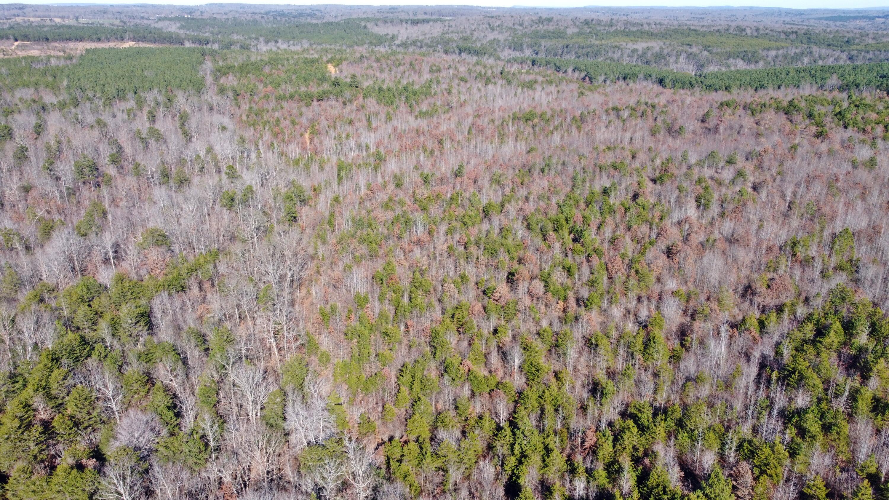 0 Co Road Bryant, AL 35958 - Photo 22 of 30 DJI_0923