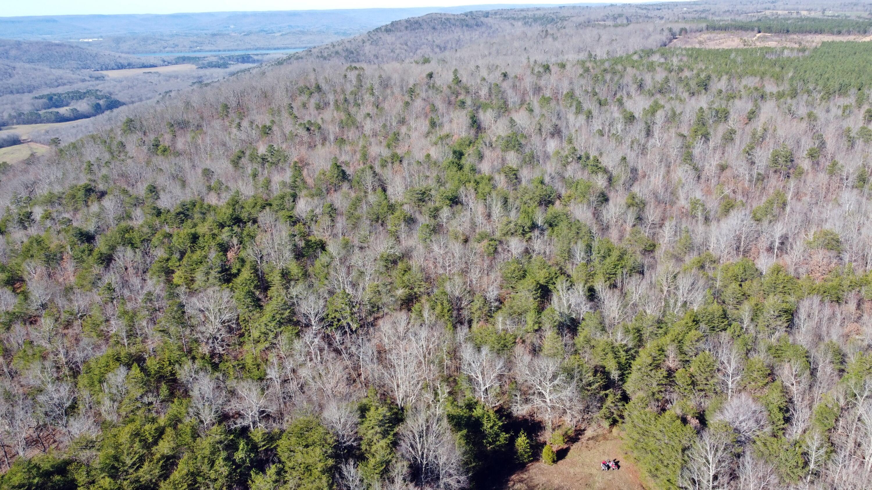 0 Co Road Bryant, AL 35958 - Photo 23 of 30 DJI_0924